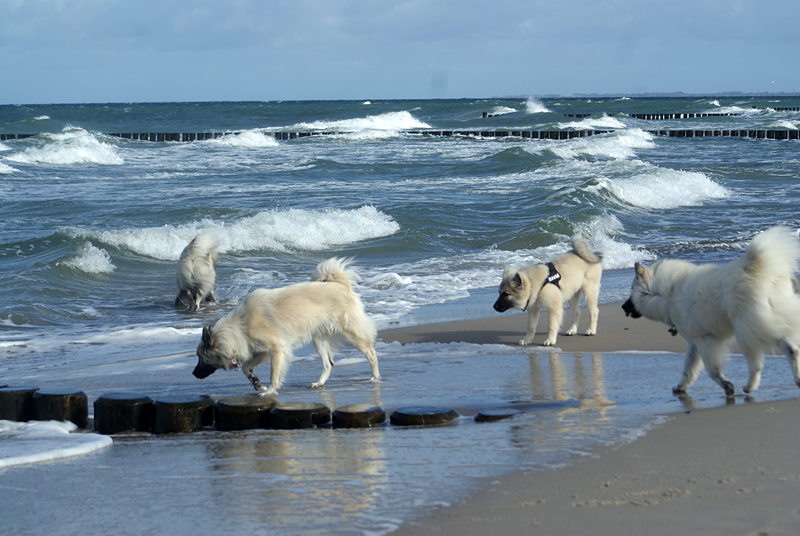 0061 das schreckte uns aber nicht ab.JPG - SONY DSC